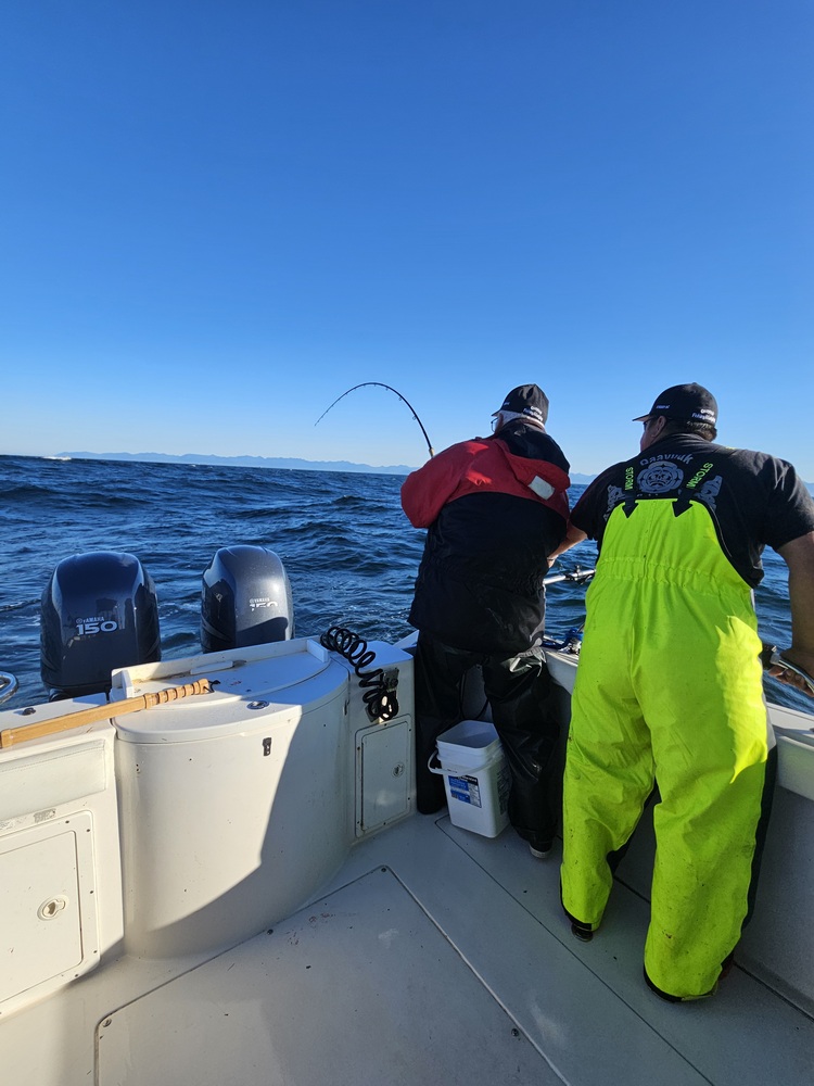 Action on the water